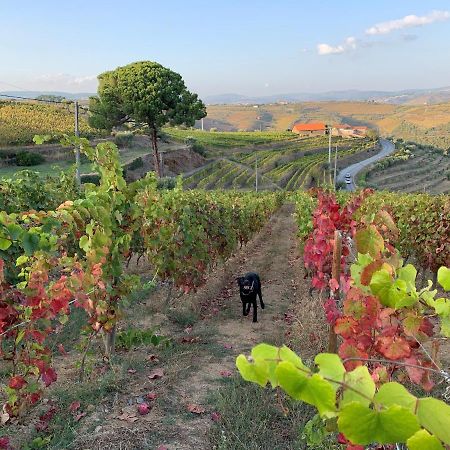 Willa Quinta Dos Espinheiros Provesende Zewnętrze zdjęcie