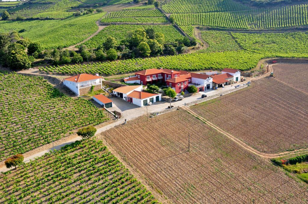 Willa Quinta Dos Espinheiros Provesende Zewnętrze zdjęcie
